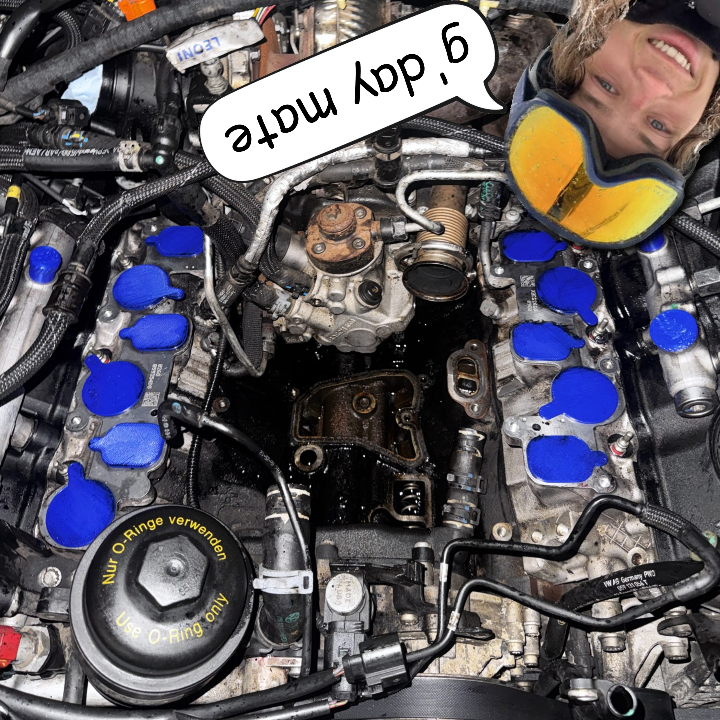 Cactus Caps – PETG Gen2 Cylinder Head & Fuel Rail Caps for the TOUGHEST Valley Jobs